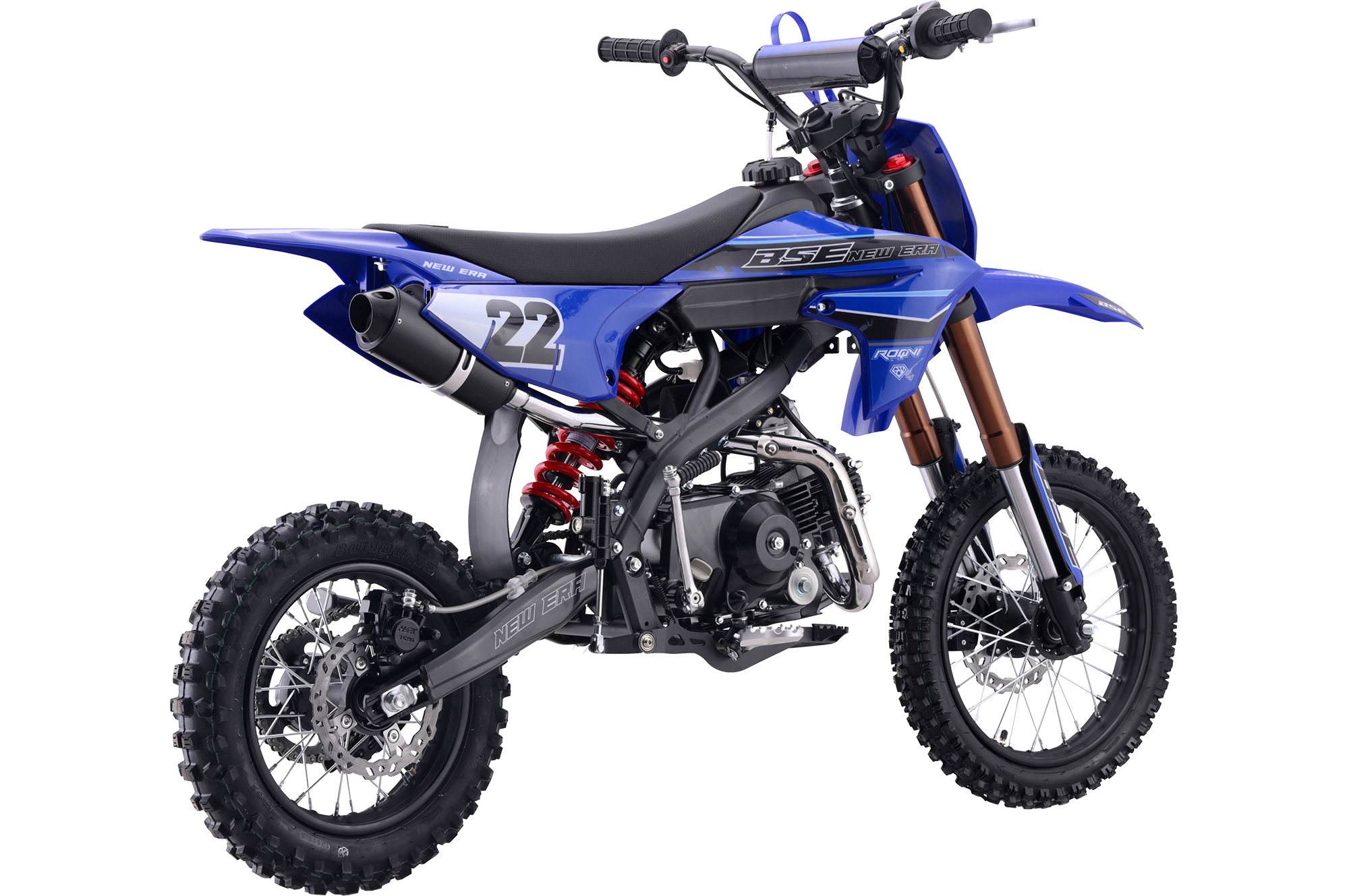 BSE NEW ERA 110 Blue Reed SA — 3
