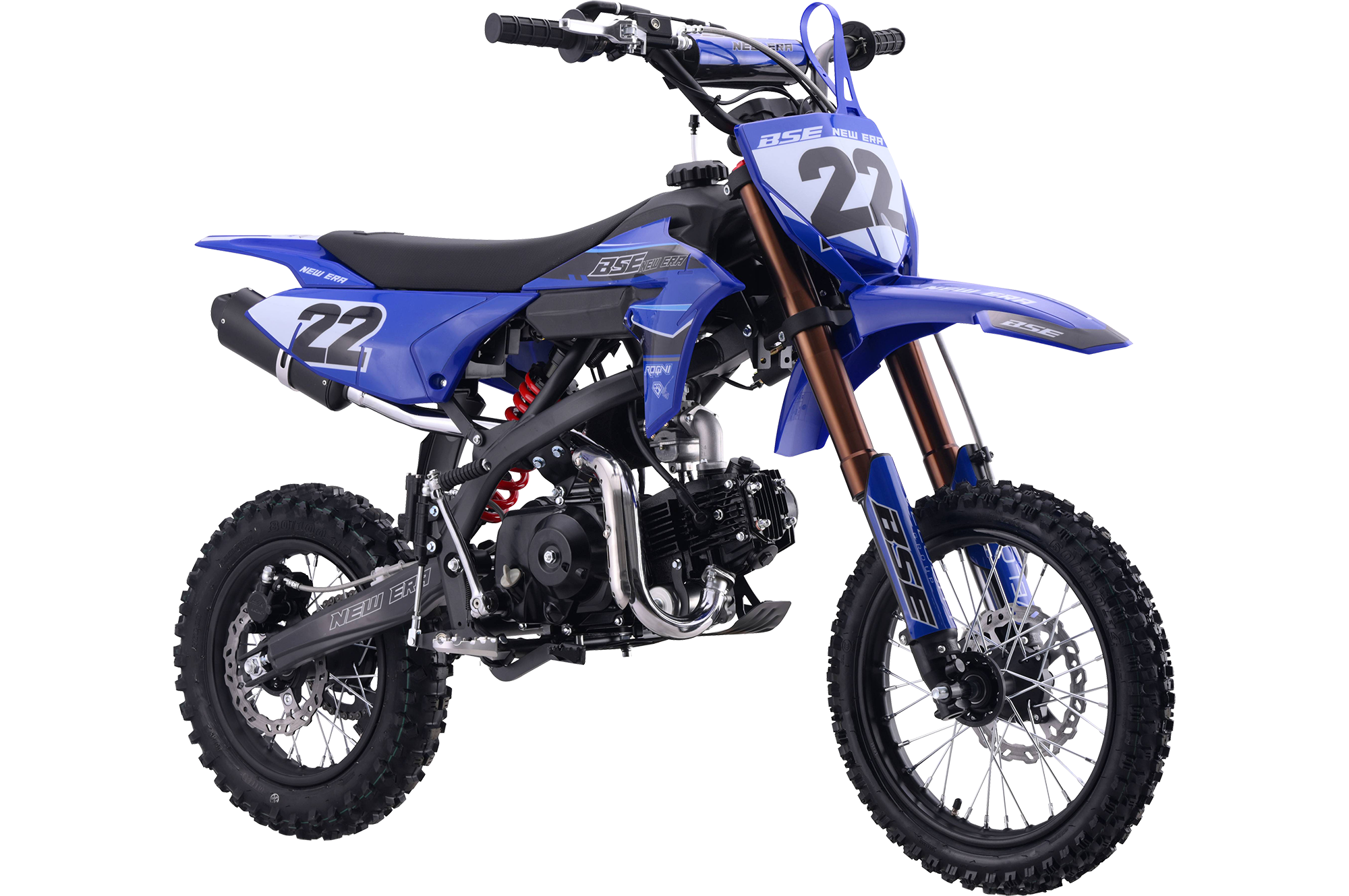 BSE NEW ERA 110 Blue Reed SA — 2
