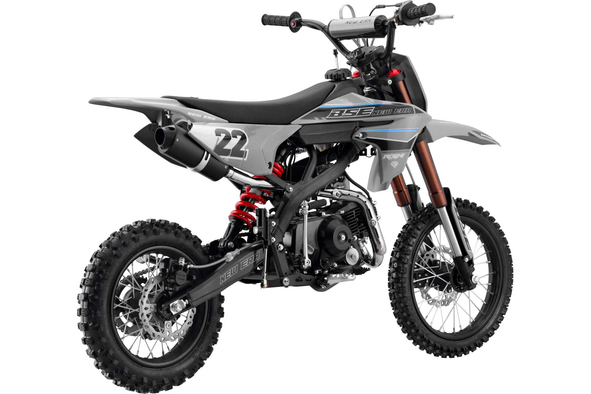 BSE NEW ERA 110 Gray Reed SA — 3