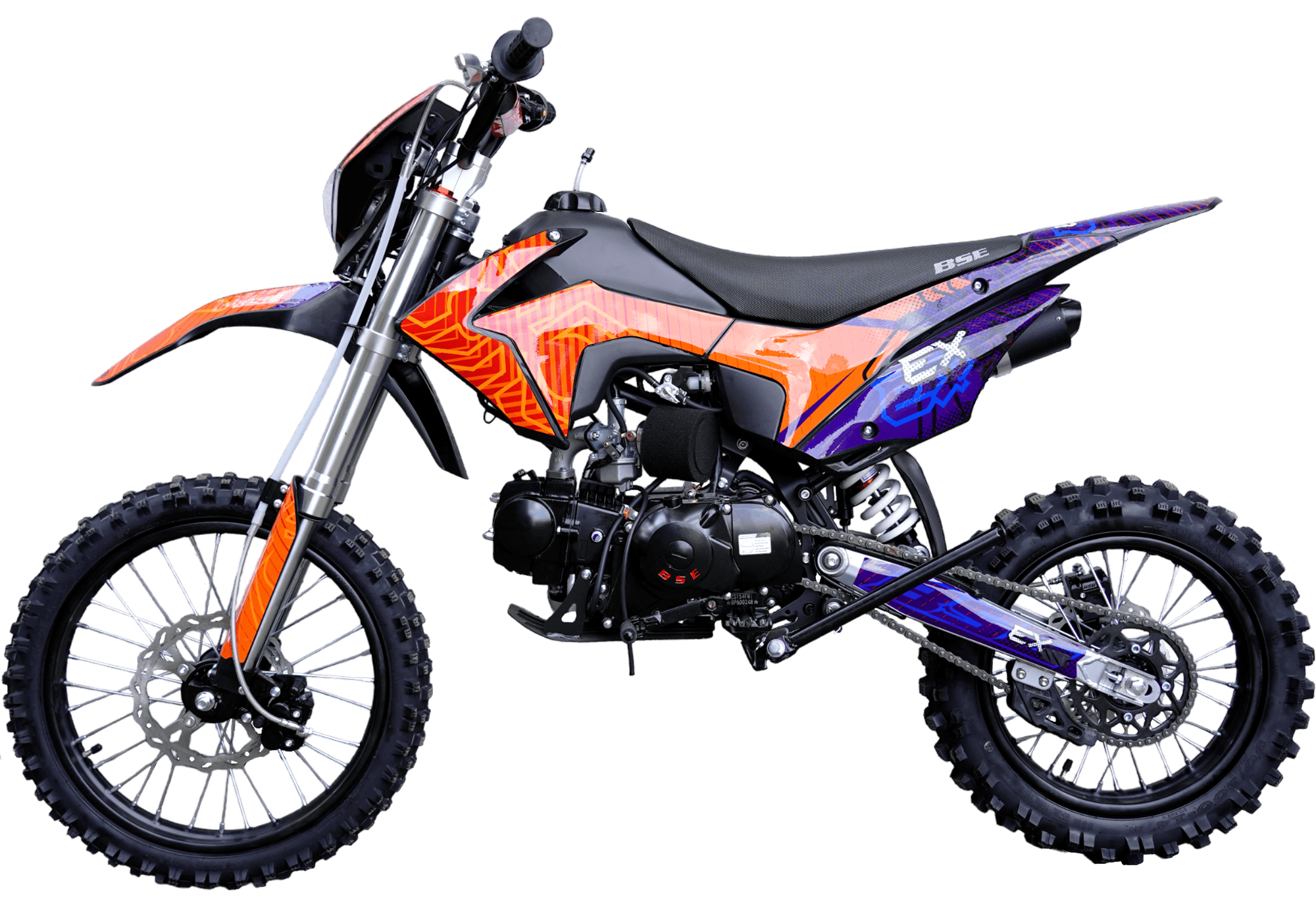 BSE EX Blue Orange Ant — 4