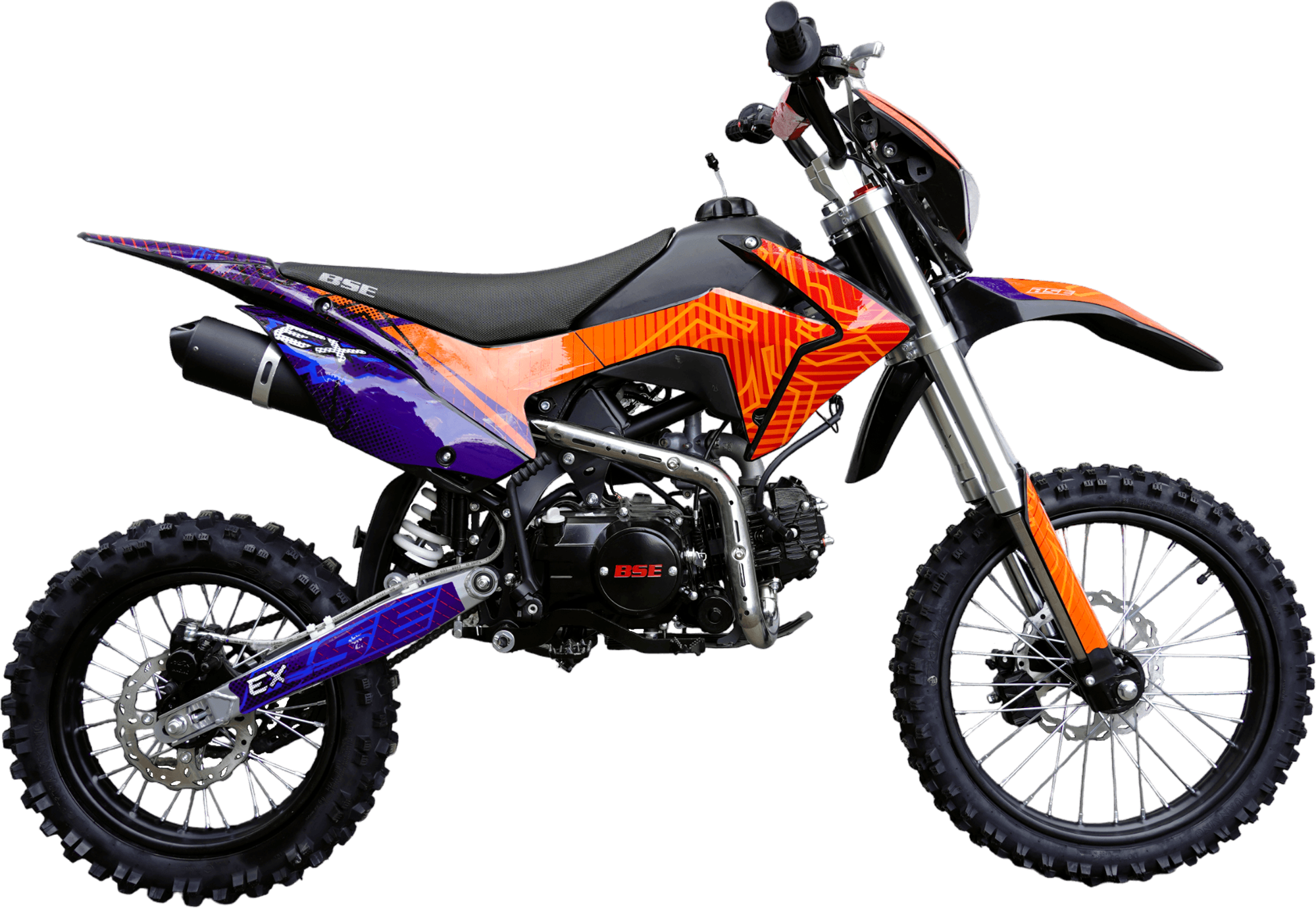 BSE EX Blue Orange Ant