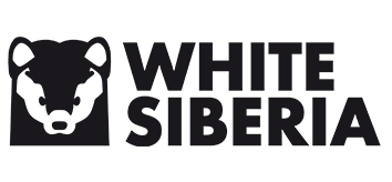 Электромотоцикл WHITE SIBERIA SUPER SOCO TSX — 2