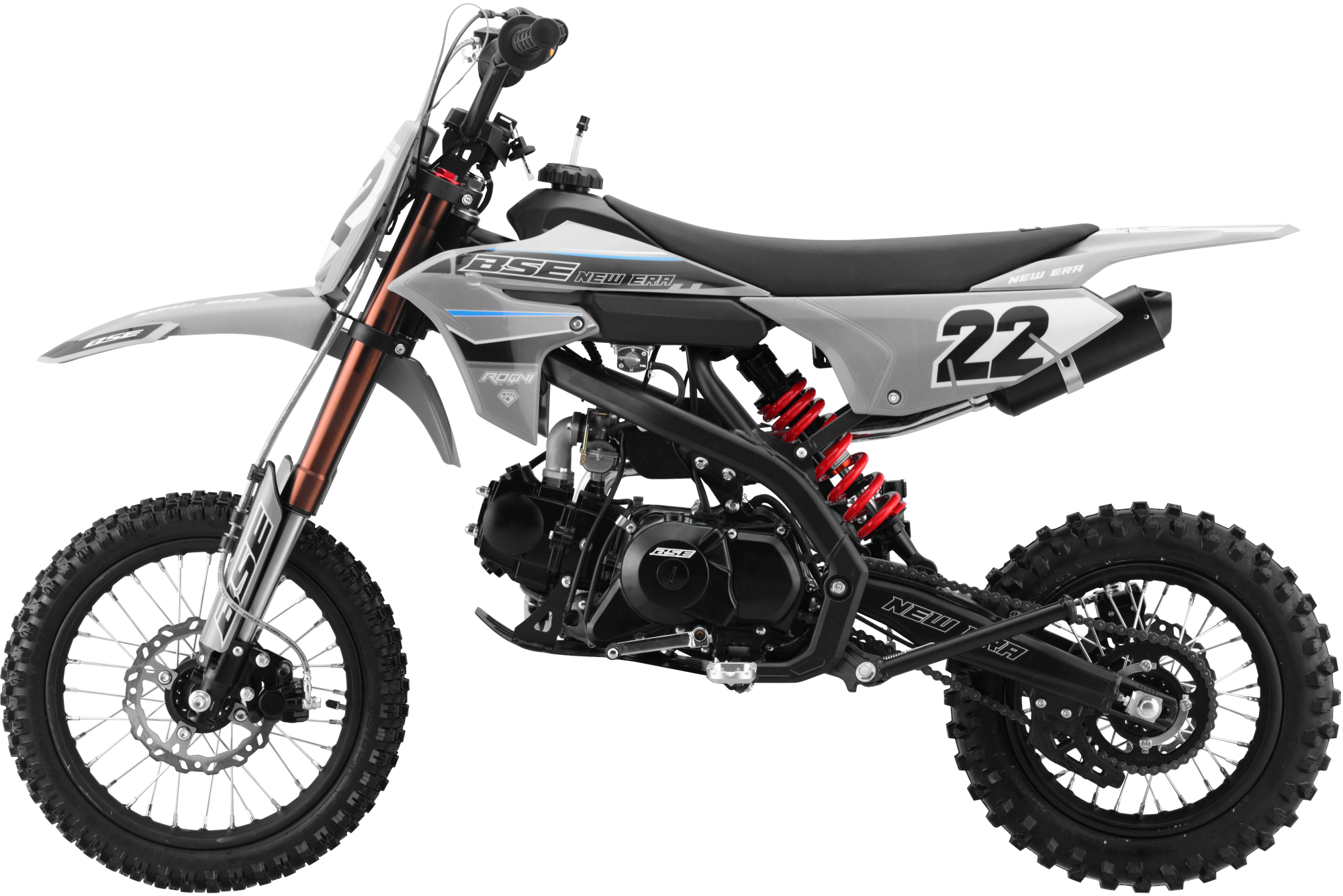 BSE NEW ERA 110 Gray Reed SA — 4